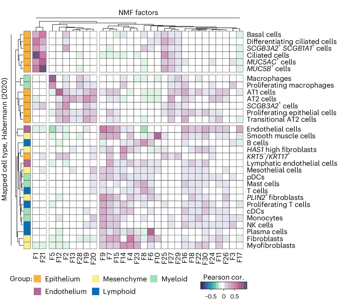 Open access visualization of Heatmap, Clustered, Pearson Correlation, Heat Map, NMF Factor Activity