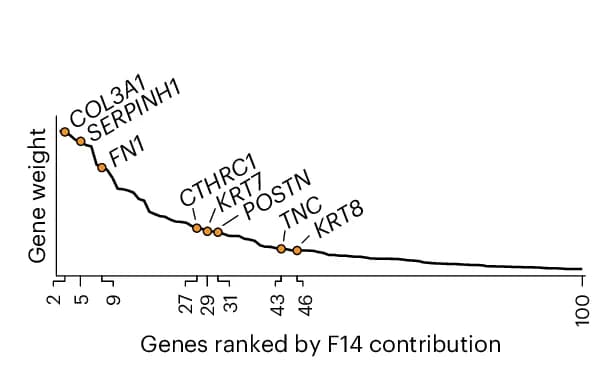 Open access visualization of Line Plot, Gene Ranking, F14, Gene Weight, Keratins