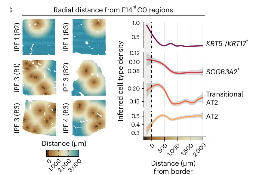 Open access visualization of Line Plot, Heatmap, Cell-Type Densities, F14 Active Spots, Radial Distance