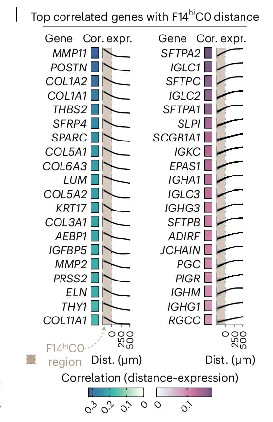 Open access visualization of Heatmap, Line Plot, Pearson Correlation, Gene Expression, Genes