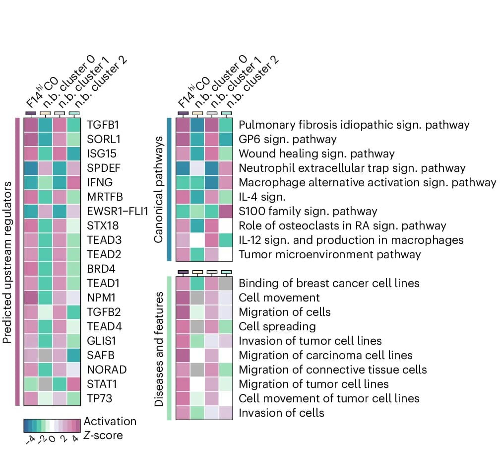 Open access visualization of Heatmap, Clustered, Enrichment Analysis, Clusters, Marker Genes