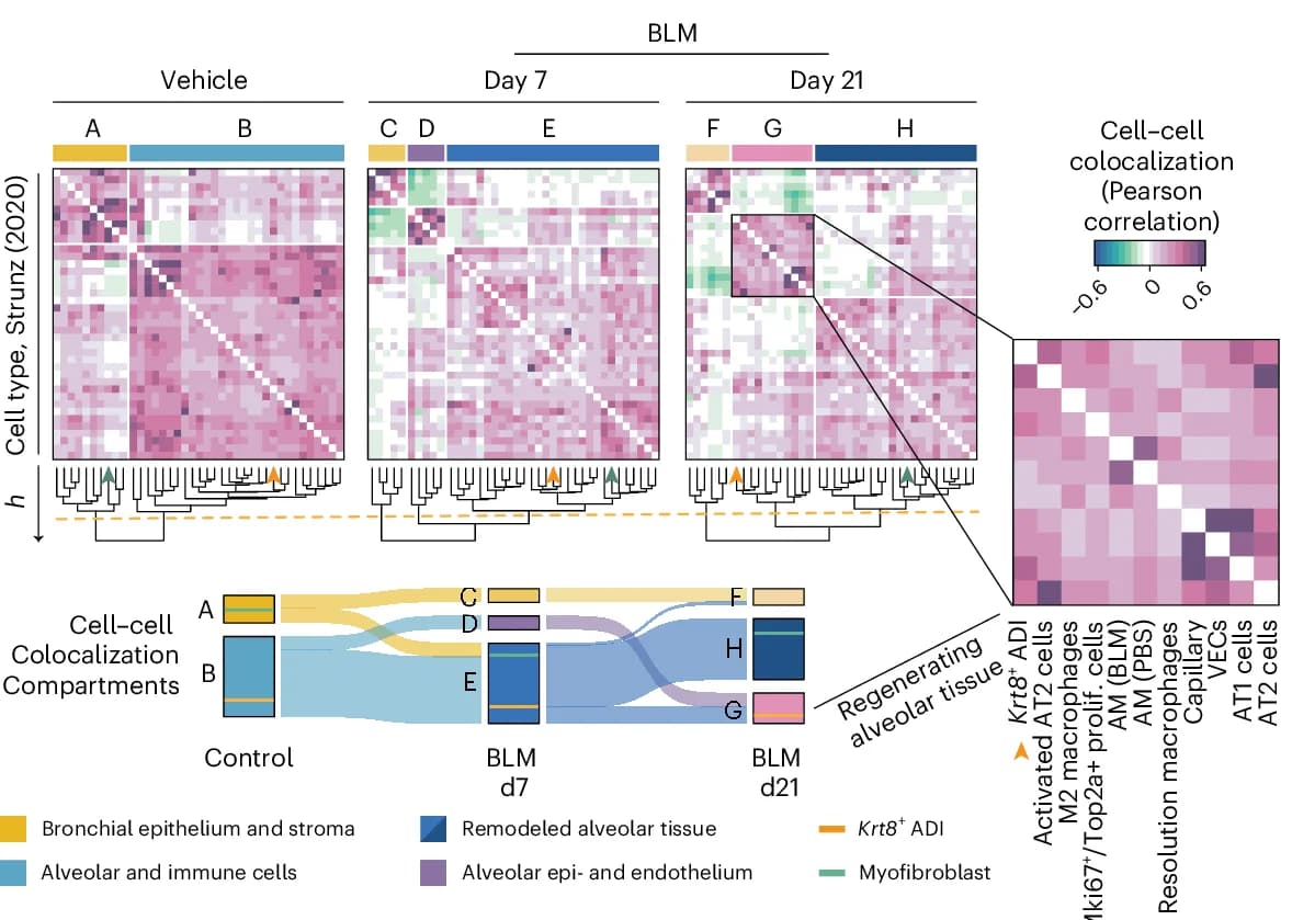 Open access visualization of Heatmap, Sankey, Clustered, Cell-Cell Correlation, Heat Maps