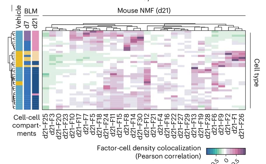 Open access visualization of Heatmap, Clustered, Bar Plot, Correlation, NMF Factor Activity