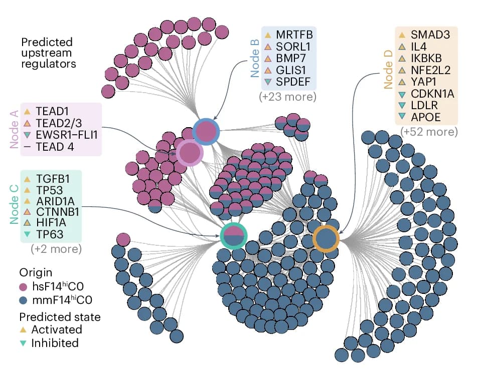 Open access visualization of Pathway, Network Plot, Regulators, IPA Upstream Analyses, Marker Genes