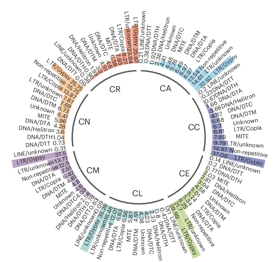 Open access visualization of Pie Chart, TE Families, Genome