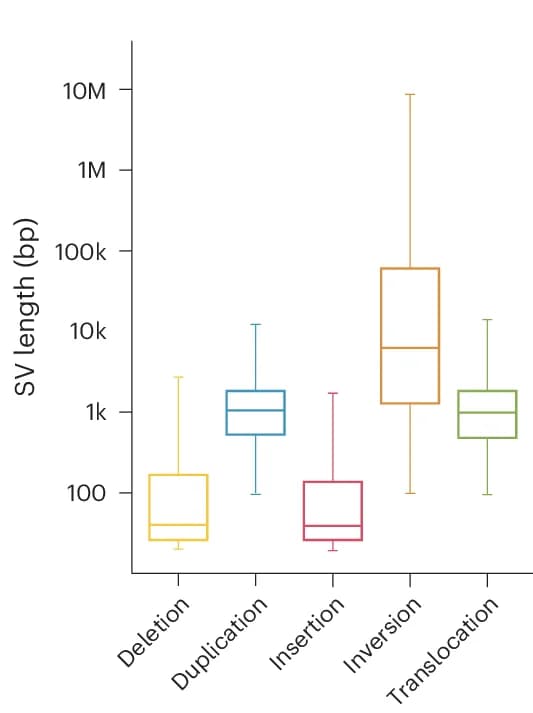 Open access visualization of Box Plot, SV Size Distribution, Deletions, Duplications, Insertions
