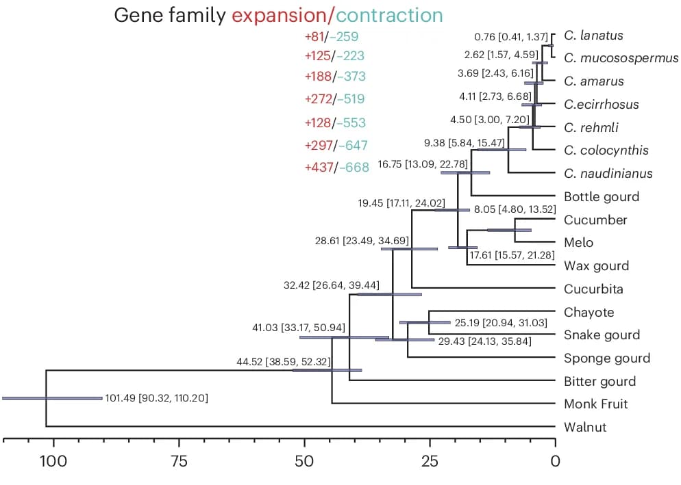 Open access visualization of Line Plot, Error Bars, Survival Curve, Phylogenetic Relationships, Divergence Times