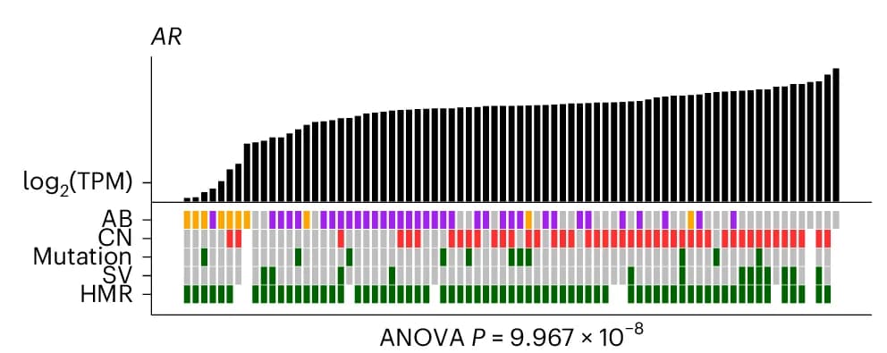 Open access visualization of Bar Plot, Heatmap, Gene Expression, Genomic Alterations, CN Gain