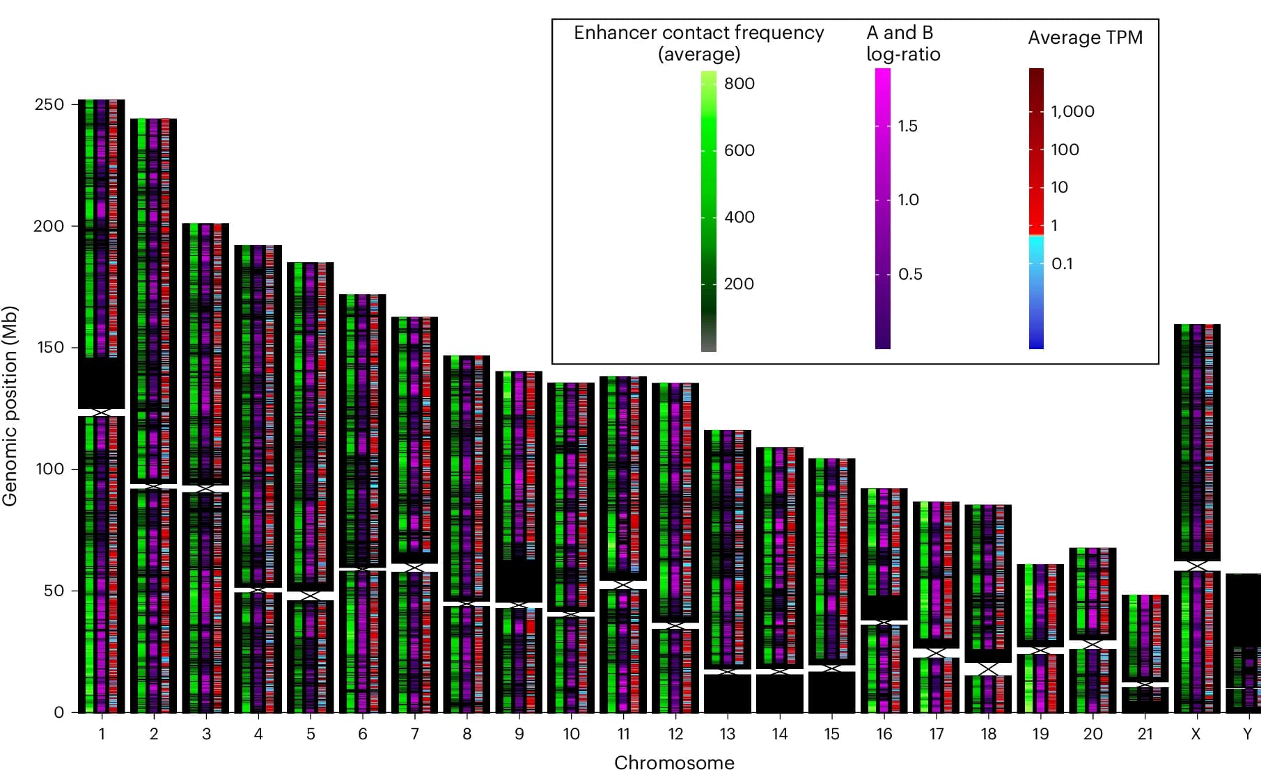 Open access visualization of Heatmap, Chromosomes, 3D Contact Frequencies, Enhancer Regions, A/B Compartment