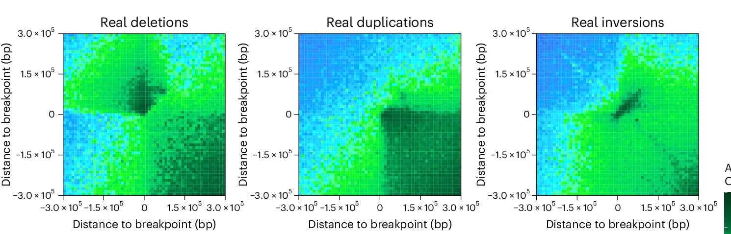 Open access visualization of Heatmap, Hi-C, SV, Deletions, Duplications