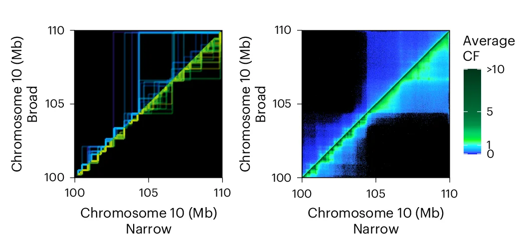 Open access visualization of Heatmap, TAD Structure, Contact Frequency, 3D Interaction, Broad Subtype