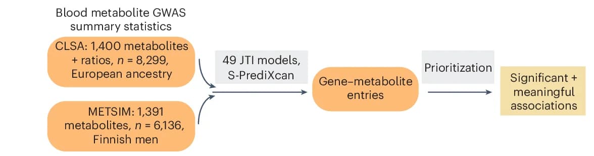 Open access visualization of Workflow, Flowchart, GeneMAP, Gene-Metabolite Associations, Joint-Tissue Imputation