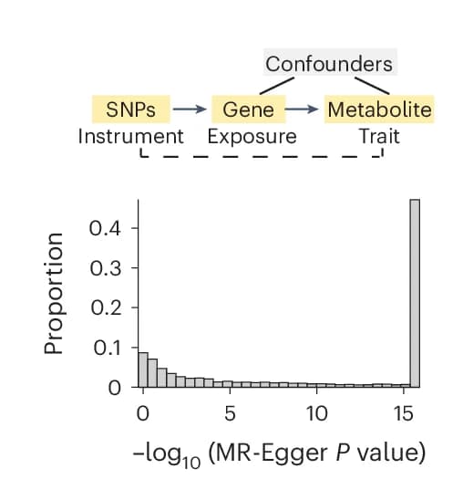 Open access visualization of Histogram, Workflow, MR-Egger Analysis, Gene-Metabolite Pairs, P Values
