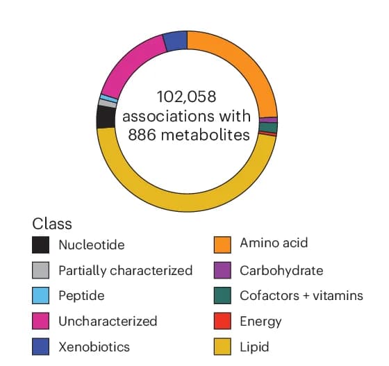 Open access visualization of Donut Chart, Gene-Metabolite Associations, Metabolite Class