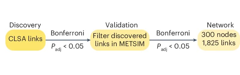 Open access visualization of Workflow, Flowchart, Consensus GDMN