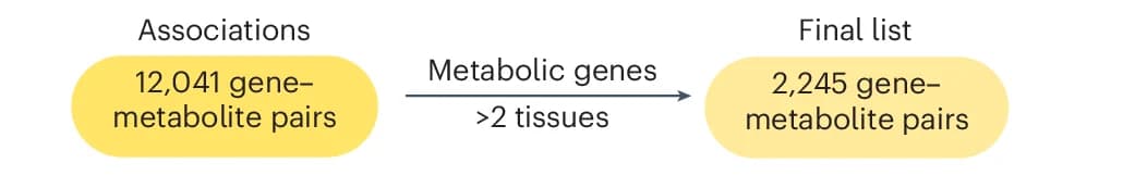 Open access visualization of Workflow, Flowchart, Gene-Metabolite Associations, Filtering, Prioritization