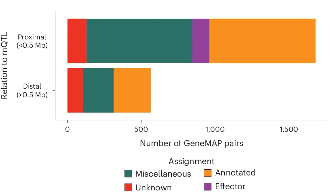 Open access visualization of Stacked Bar Plot, GeneMAP Gene-Metabolite Associations, SNPs, CLSA Single-SNP Analysis