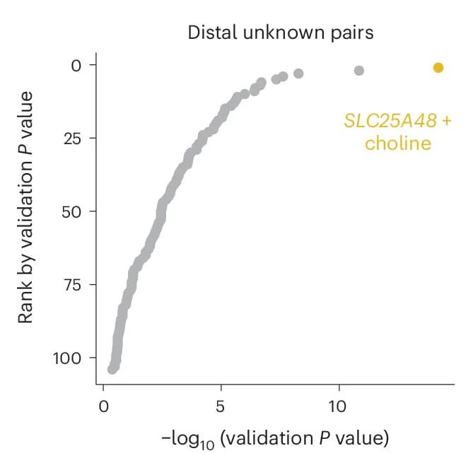 Open access visualization of Scatter Plot, QQ Plot, GeneMAP Associations, SNPs, CLSA Single-SNP Analysis