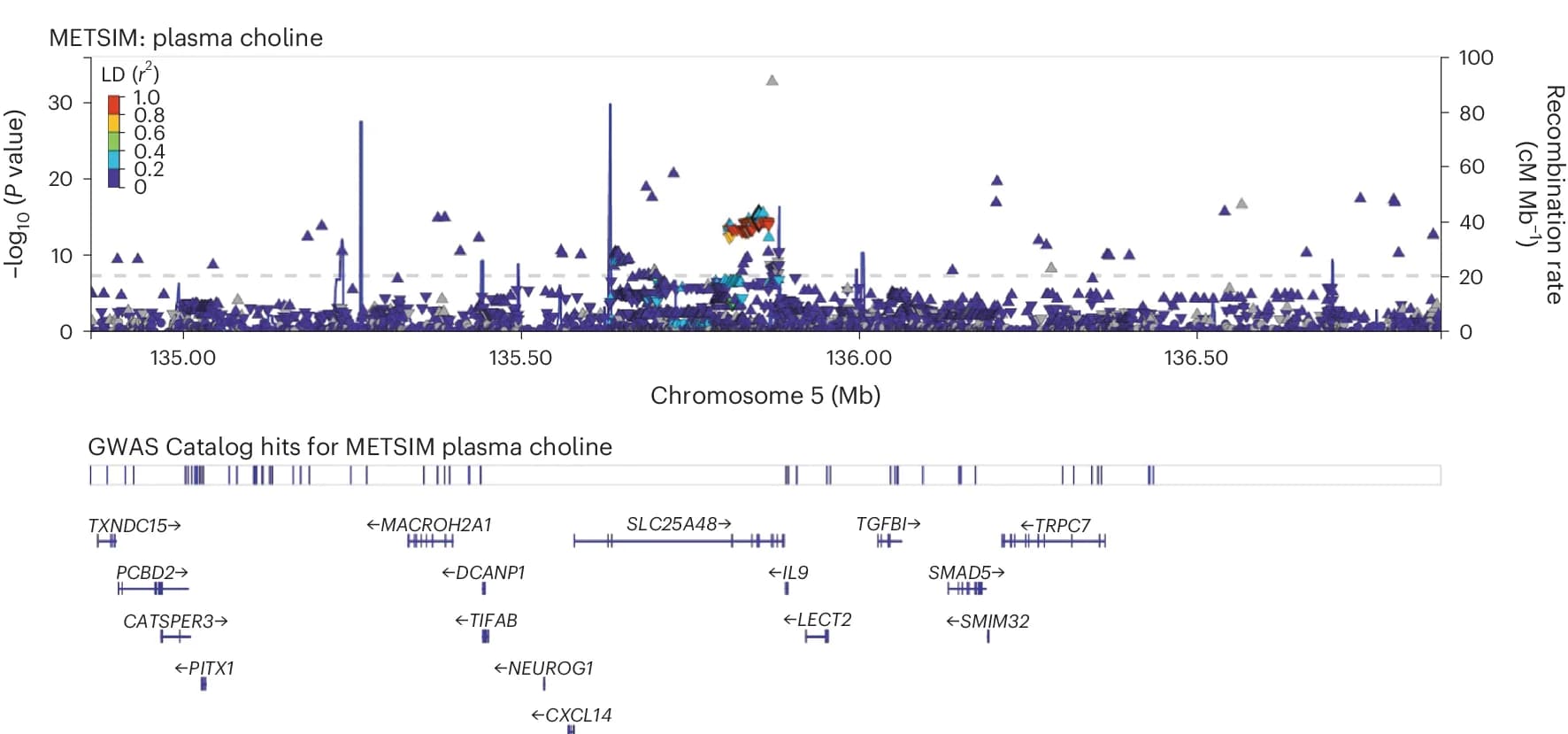 Open access visualization of Manhattan Plot, LocusZoom Plot, METSIM, Choline-Association Signals, SLC25A48