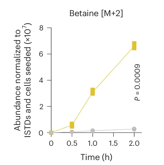 Open access visualization of Line Plot, Betaine, HEK293T Cells, Knockout Cells, cDNA