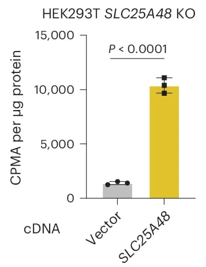 Open access visualization of Bar Plot, Error Bars, Choline Uptake, Immunopurified Mitochondria, HEK293T Cells