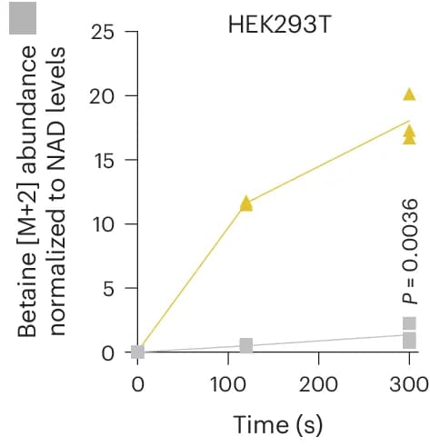 Open access visualization of Line Plot, Scatter Plot, Betaine Abundance, Immunopurified Mitochondria, HEK293T Cells
