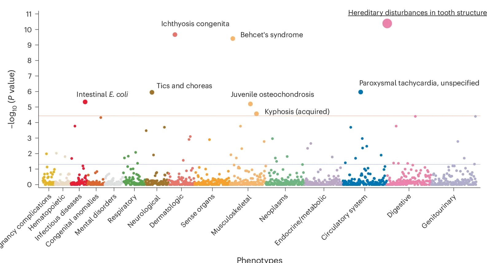 Open access visualization of Scatter Plot, Manhattan Plot, Bubble Plot, PheWAS, Phenotypes