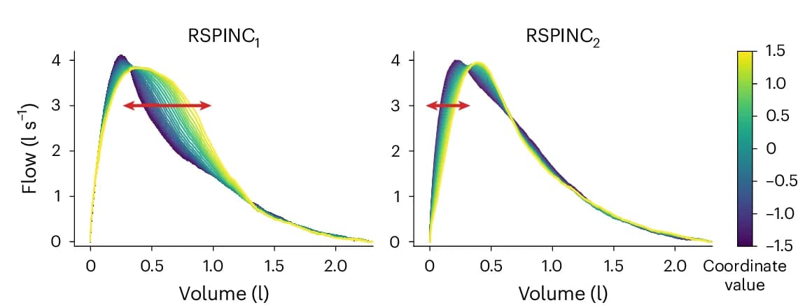 Open access visualization of Line Plot, Density Plot, Spirograms, RSPINCs, Decoder
