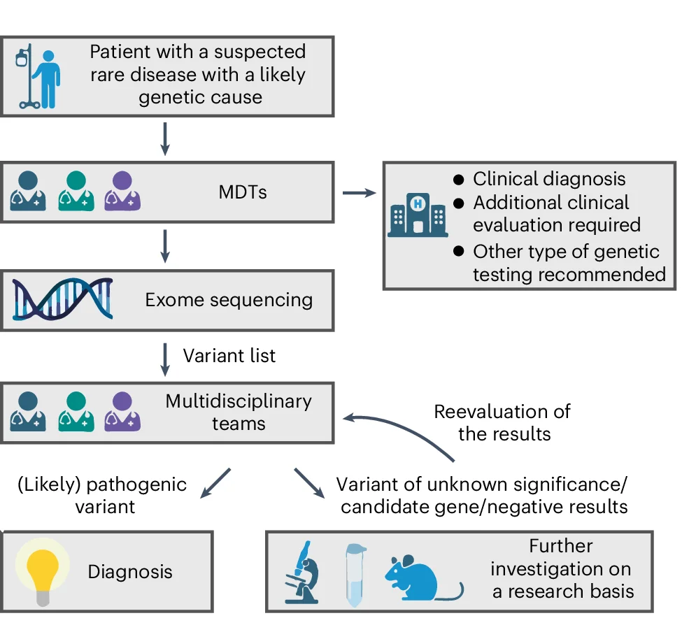 Open access visualization of Workflow, Flowchart, Illustration, Rare Disease, MDT