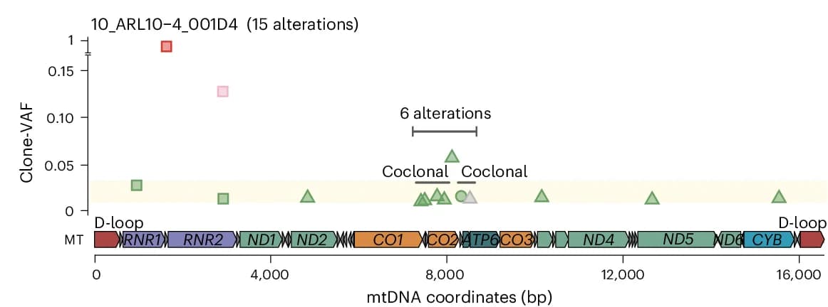 Open access visualization of Scatter Plot, Locuszoom Plot, Clone-VAFs, mtDNA Alterations, Fibroblast Clone