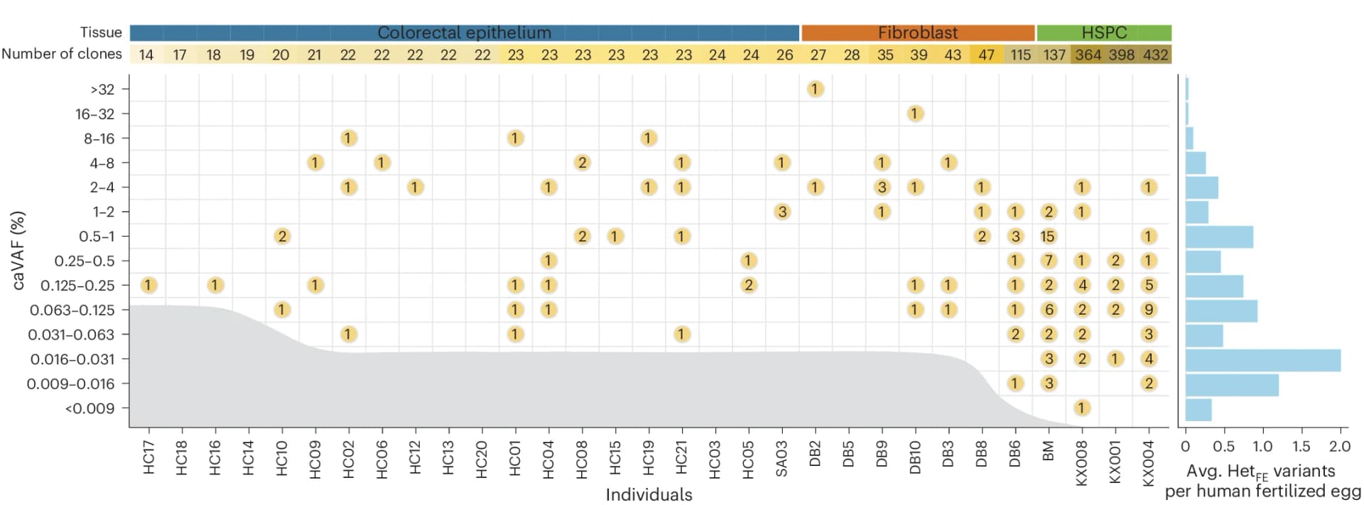 Open access visualization of Scatter Plot, Bar Plot, Histogram, Het FE Variants, Clones