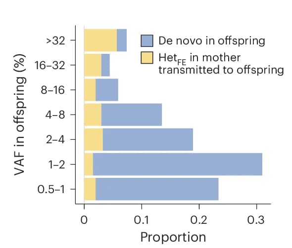 Open access visualization of Stacked Bar Plot, Bar Plot, VAF Distribution, Heteroplasmic mtDNA Variants, Offspring
