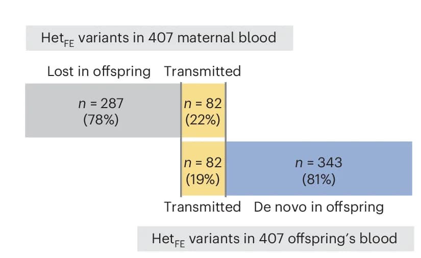 Open access visualization of Bar Plot, Stacked Bar Plot, Het FE Variants, Maternal Blood, Offspring Blood