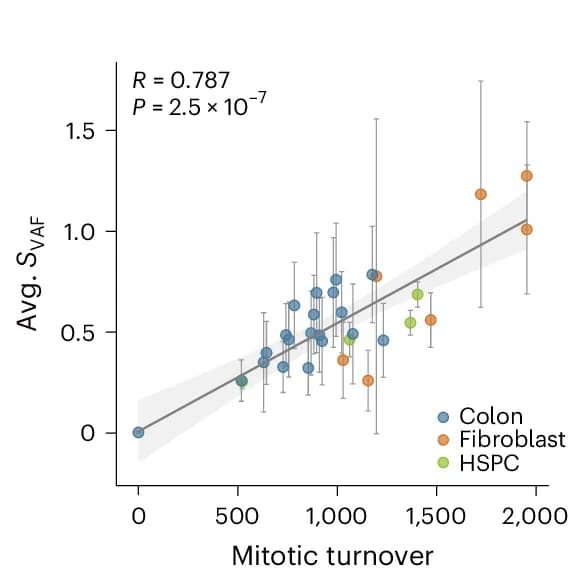 Open access visualization of Scatter Plot, Regression Plot, Error Bars, S VAF, Mitotic Turnovers