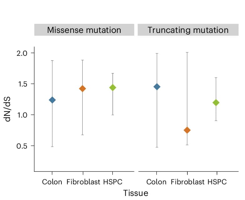 Open access visualization of Scatter Plot, Error Bars, dN/dS Ratios, Missense Mutations, Truncating Mutations