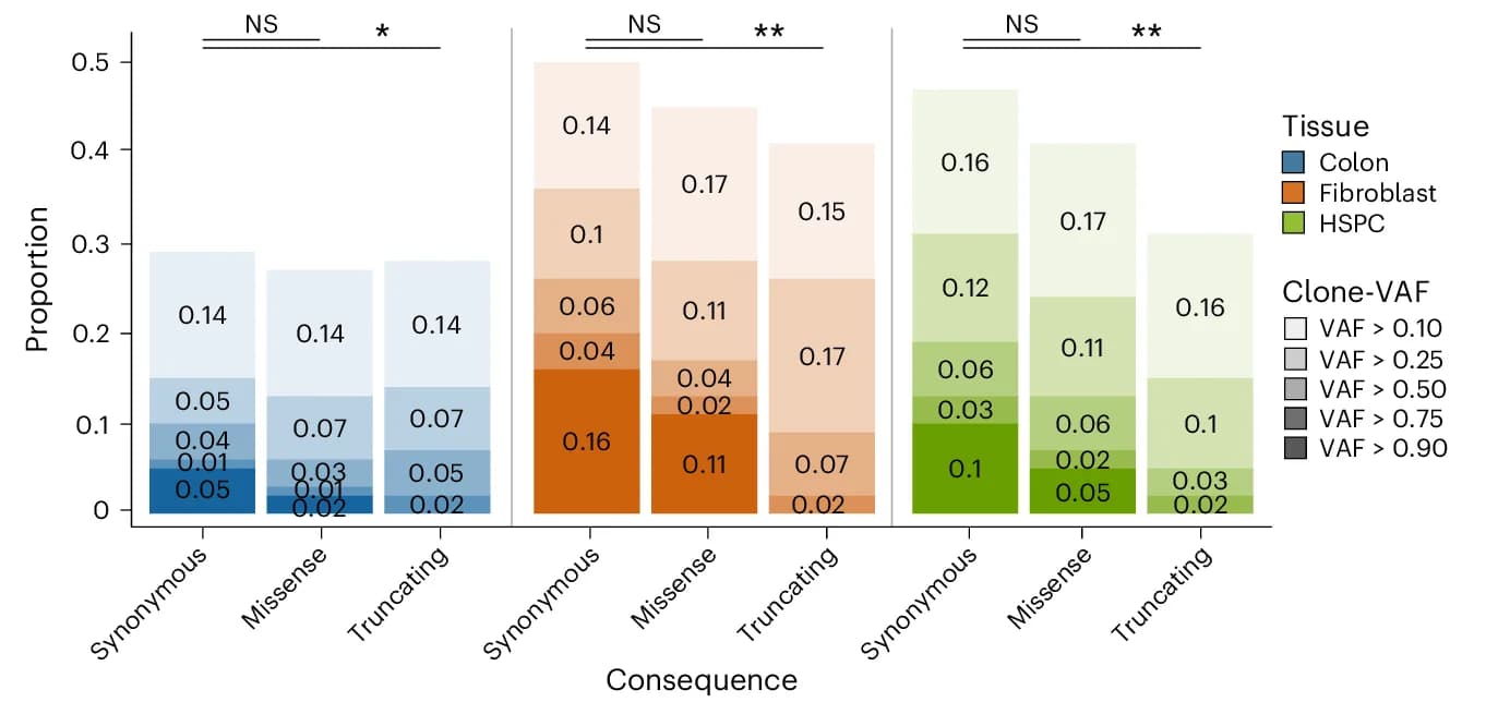 Open access visualization of Stacked Bar Plot, Clone-VAF Distribution, Synonymous Mutations, Missense Mutations, Truncating Mutations
