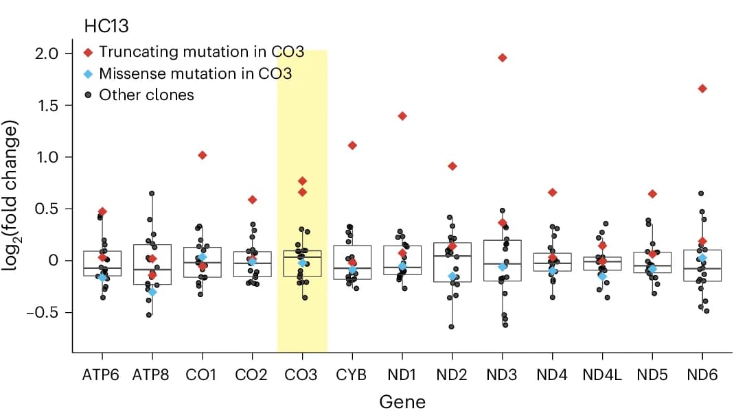 Open access visualization of Box Plot, Scatter Plot, Log2-transformed Fold Changes, Expression Levels, Normalized Read Counts