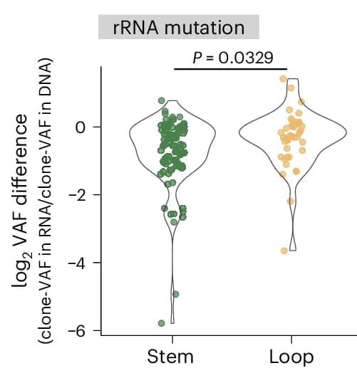 Open access visualization of Violin Plot, Scatter Plot, Violin Plots, Clone-VAF, Genome