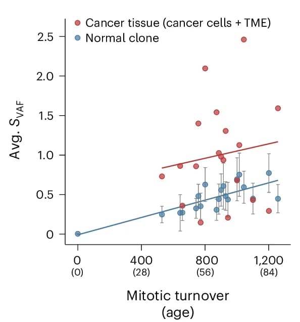Open access visualization of Scatter Plot, Regression Plot, Error Bars, S VAF, Colorectal Clones