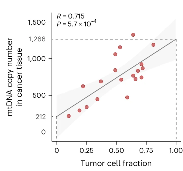 Open access visualization of Scatter Plot, Regression Plot, Tumor Cell Fraction, mtDNA Copy Numbers, Cancer Tissues