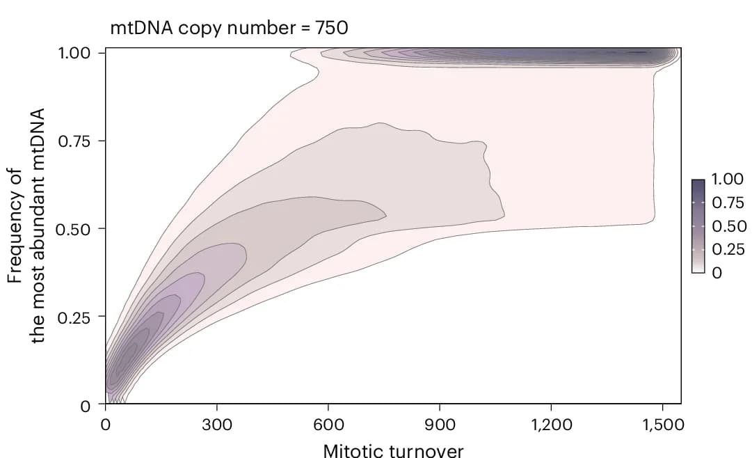Open access visualization of Density Plot, Contour Plot, mtDNA Population, Mitotic Turnover, Simulation Studies