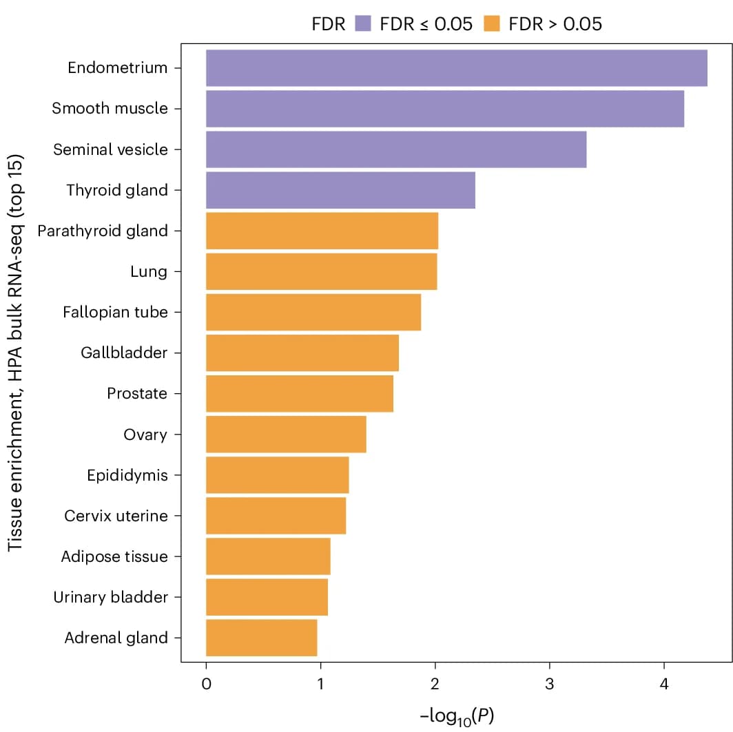 Open access visualization of Bar Plot, MAGMA, Bulk Tissue Enrichment, Human Protein Atlas, Endometrial Tissue