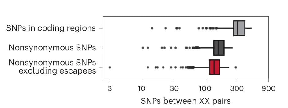 Open access visualization of Box Plot, Scatter Plot, SNPs, X Chromosomes, 1000 Genomes Project