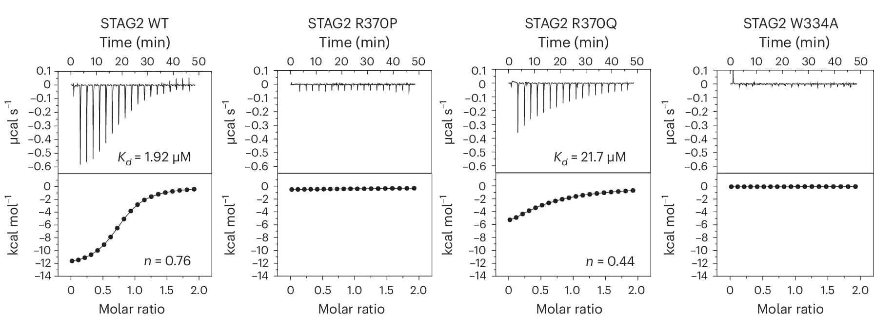 Open access visualization of Line Plot, STAG2 Variants, Cohesin, RAD21, CTCF
