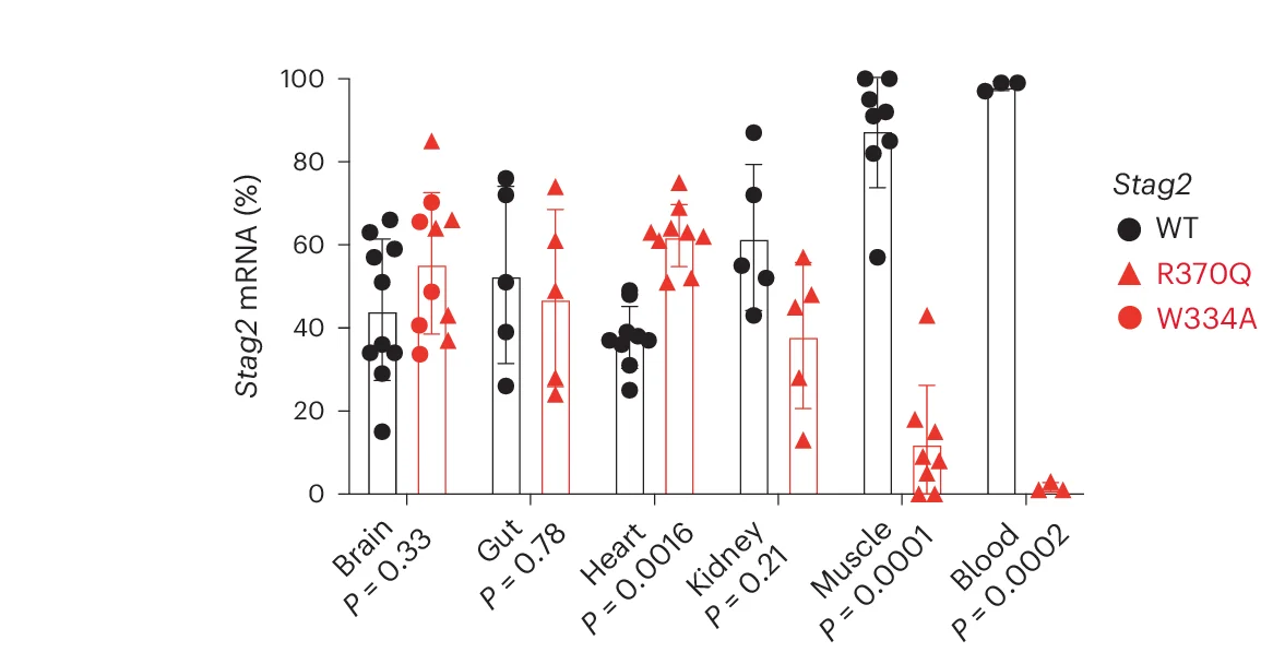 Open access visualization of Bar Plot, Scatter Plot, Error Bars, Allele-Specific qRT-PCR, Stag2 WT