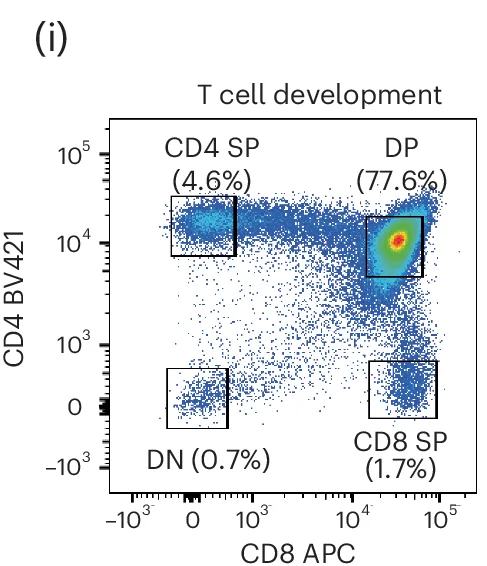 Open access visualization of Scatter Plot, Thymocytes, CD4/CD8 DN, DP, CD4 Single Positive