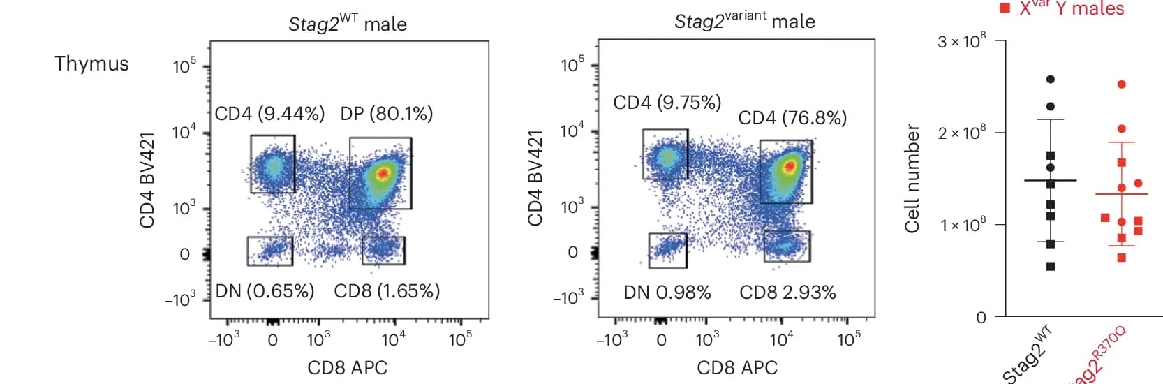 Open access visualization of Scatter Plot, Bar Plot, Error Bars, Flow Cytometry, Thymocyte Subsets