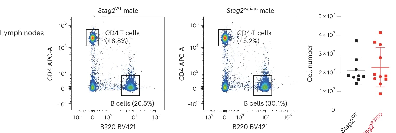 Open access visualization of Scatter Plot, Error Bars, Flow Cytometry, Lymph Node Cells, Lymph Node Cell Numbers