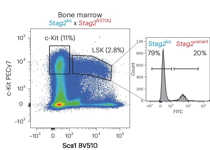 Open access visualization of Scatter Plot, Histogram, Hematopoietic Progenitors, VavCre, Stag2