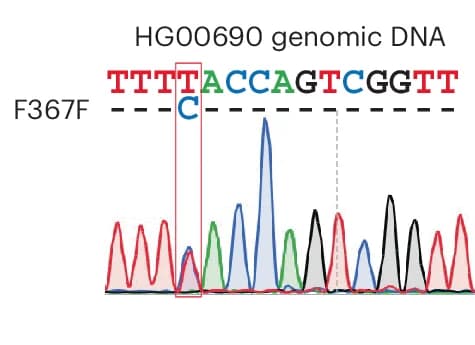 Open access visualization of Line Plot, STAG2, Synonymous Variant, Polyclonal B Cell Line, Blood